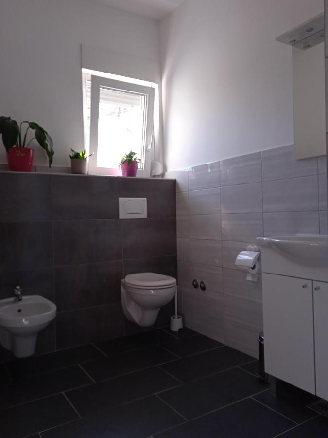 Seoski Turizam Stari Mlin Na Korani Room 2 Карловац Экстерьер фото